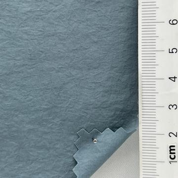 19 Pale Blue