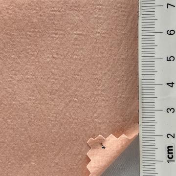 2코랄 Pale Orange