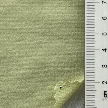 16 Pale Green
