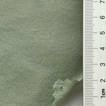 17 Pale Green