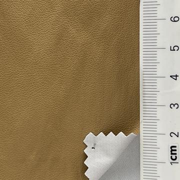 10 Camel