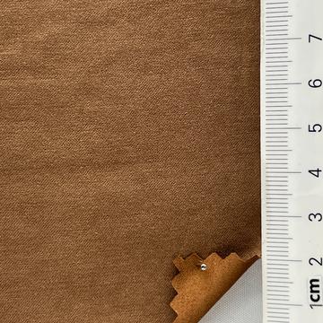 14 Camel