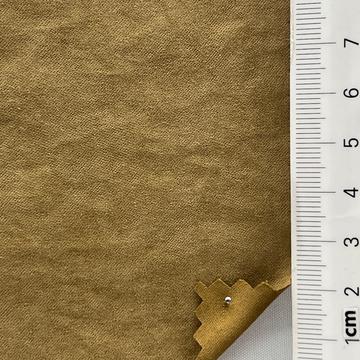 20 Camel
