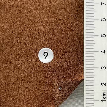 9 Camel
