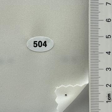 504 Ivory
