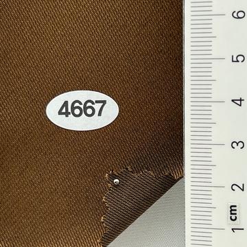 4667 Brown
