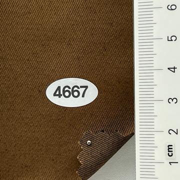 4667 Camel