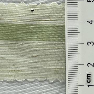 5 Pale Green