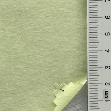 13 Pale Green