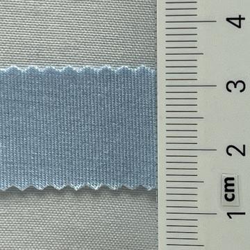 31 Pale Blue