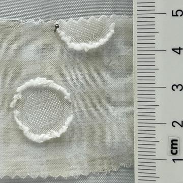 2 Ivory