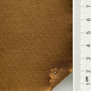 18 Camel