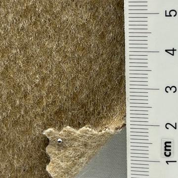 28 Camel