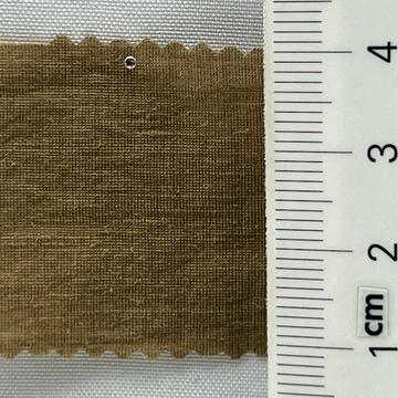18 Camel