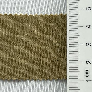 19 Camel