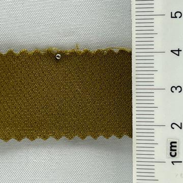 19 Camel
