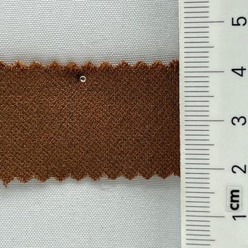 19 Camel