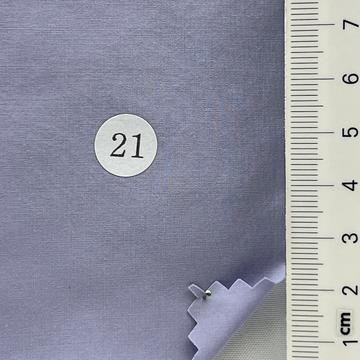 21 Pale Blue