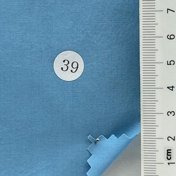 39 Pale Blue