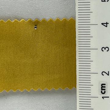 23 Camel
