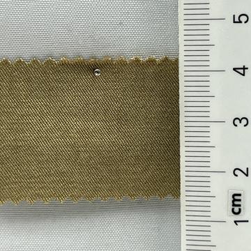 21 Camel