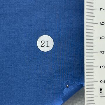 21 Blue