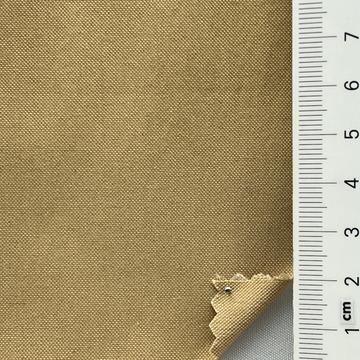 5 Camel