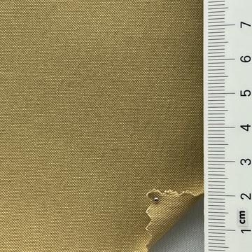 11 Camel