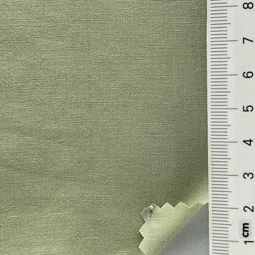 12 Pale Green