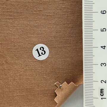 13 Camel