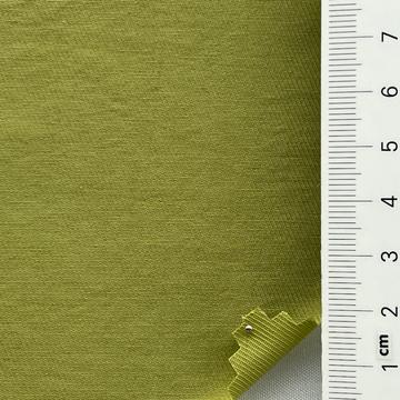 25 Pale Green