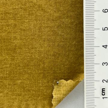 13 Camel