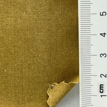 10 Camel