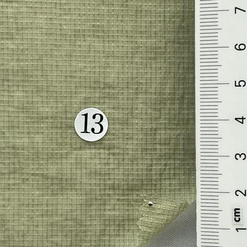 13 Pale Green