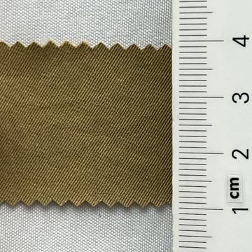 10 Camel
