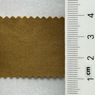 11 Camel