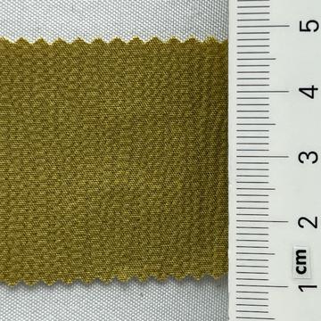 23 Camel
