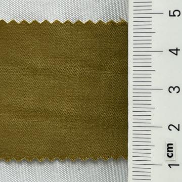 19 Camel