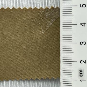 33 Camel