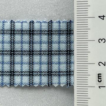 5 Pale Blue
