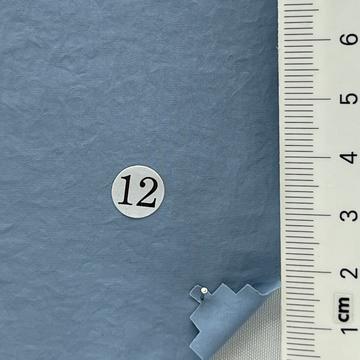 12 Pale Blue