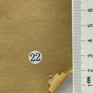 22 Camel