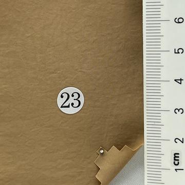 23 Camel