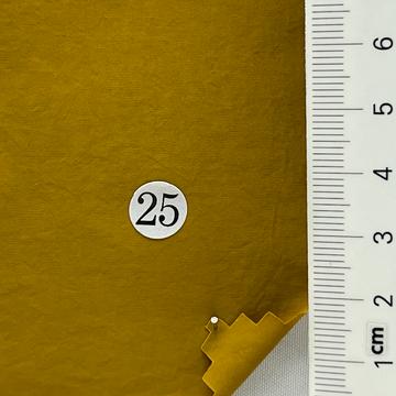 25 Camel