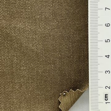 31 Camel