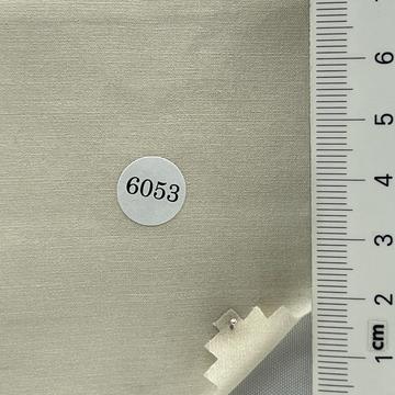 6053 Ivory