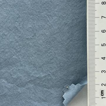 22 Pale Blue