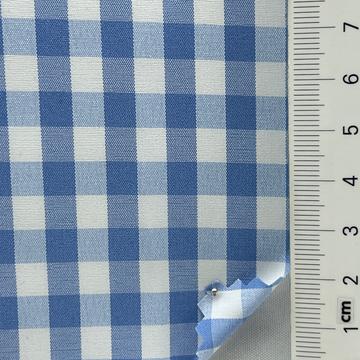 29 Pale Blue