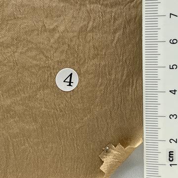4 Camel