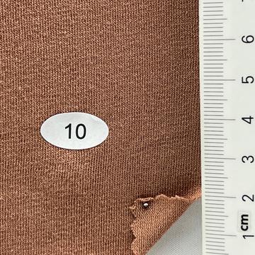 10 Camel